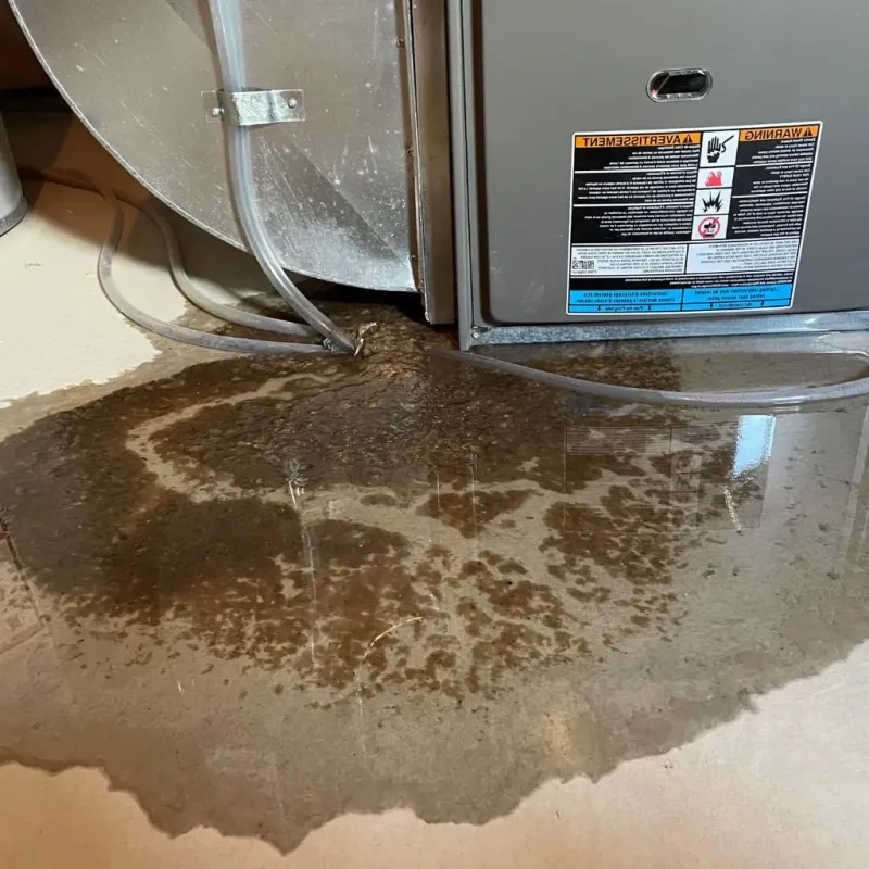 Pipe Burst and Leak Restoration in Hebron Estates, KY