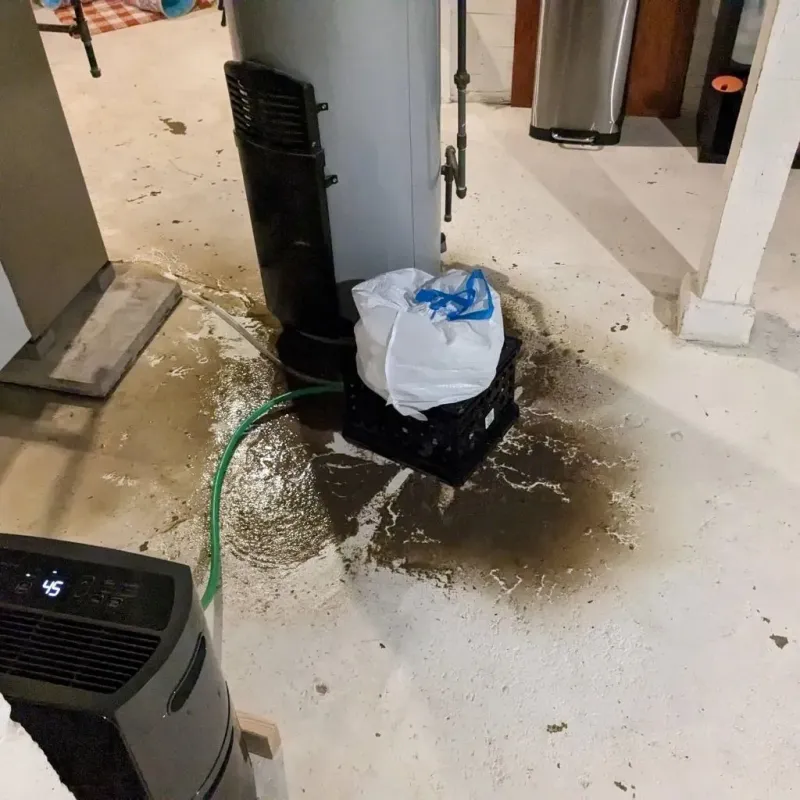 Sewage Backup Cleanup Service in Hebron Estates, KY